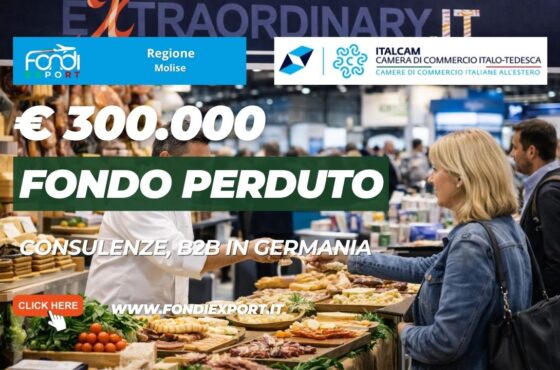 €300.000 pronti all’uso: come usare i fondi della Regione Molise per Consulenze, B2B della Camera di Commercio Italo-Tedesca nel 2026