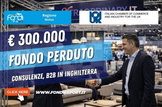 Consulenze, B2B 2026: scala il mercato inglese con i fondi della Regione Molise di €300.000