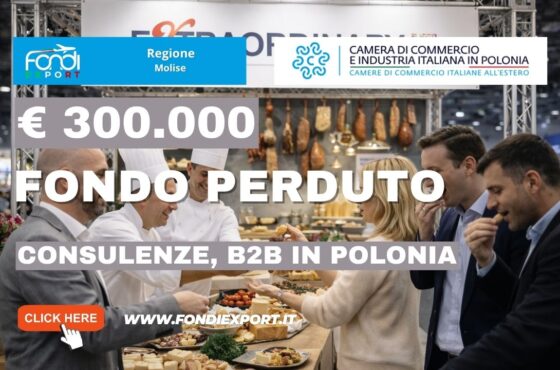 €300.000 per Consulenze, B2B con la Camera di Commercio dell’Industria italiana in Polonia