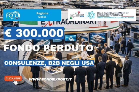 Non perdere il finanziamento a fondo perduto di €300.000: nuovo bando della Regione Molise per Consulenze, B2B negli USA a Miami