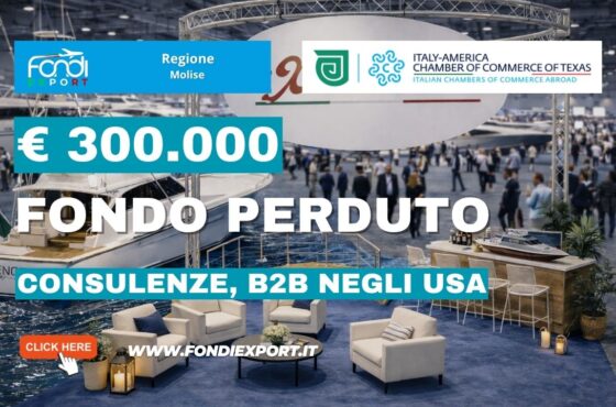 Ottieni €300.000 dalla Regione Molise per Consulenze, B2B con la Italy-America Chamber of Commerce of Texas