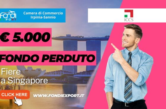 5.000 euro finanziamento a fondo perduto per fiere, B2B, eventi promozionali a Singapore: il bando della Camera di Commercio Irpinia Sannio