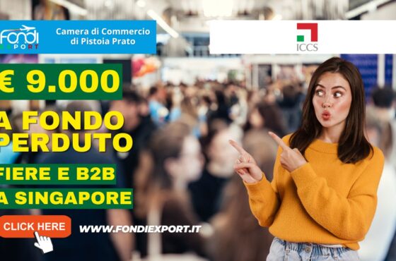 9000 euro di finanziamento a fondo perduto per fiere, B2B, eventi promozionali, consulenze specialistiche a Singapore